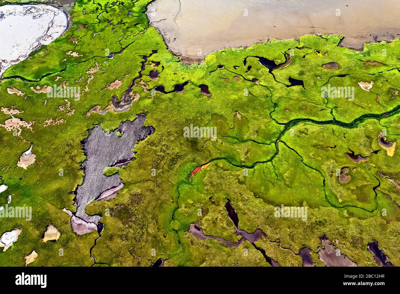 Europa - Island - Myrar Stockfoto