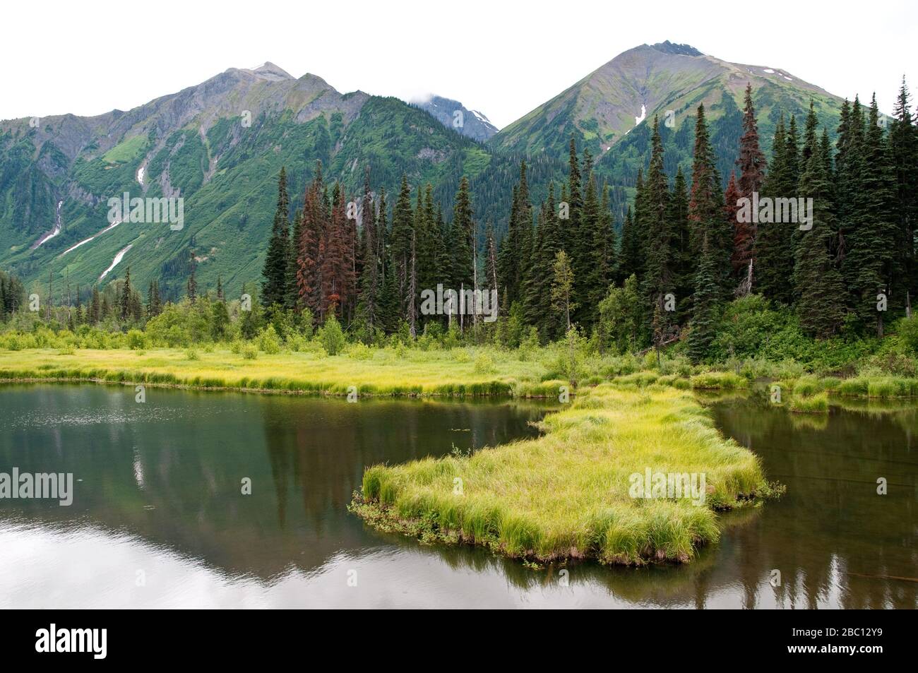 Ein kleiner See und Feuchtgebiet im borealen Wald und Moscheen in den Stikine Mountains im Norden von British Columbia, Kanada. Stockfoto