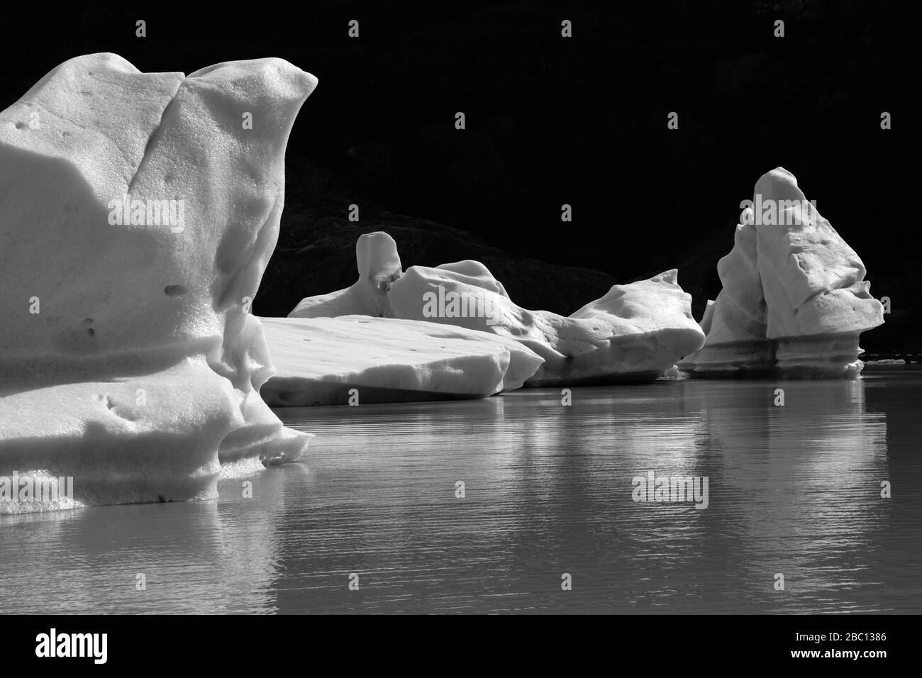Blick auf den Grauen Gletscher, Lago Gray, den Nationalpark Torres del Paine, die Region Magallanes, Patagonien, Chile Stockfoto
