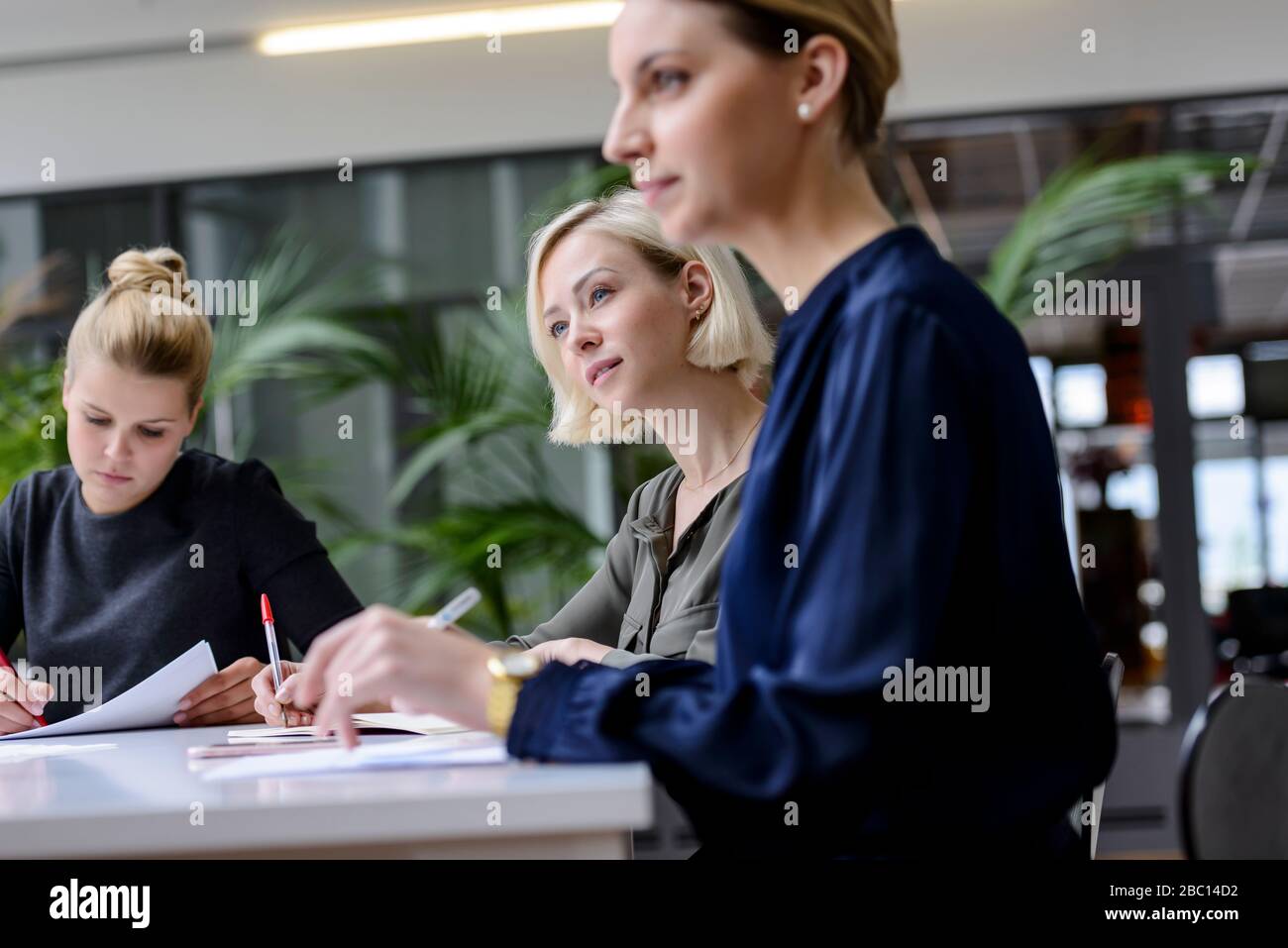 Geschäftsleute sitzen in einem Meeting, arbeiten konzentriert Stockfoto