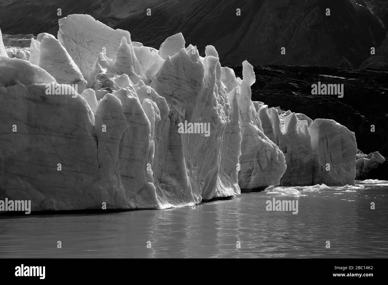 Blick auf den Grauen Gletscher, Lago Gray, den Nationalpark Torres del Paine, die Region Magallanes, Patagonien, Chile Stockfoto