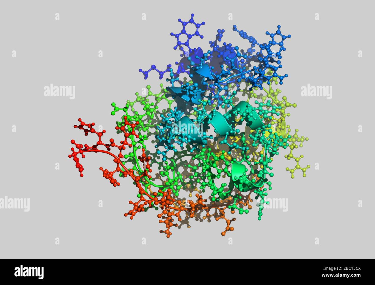 Molekulares Proteinmodell mit Atomen Stockfoto