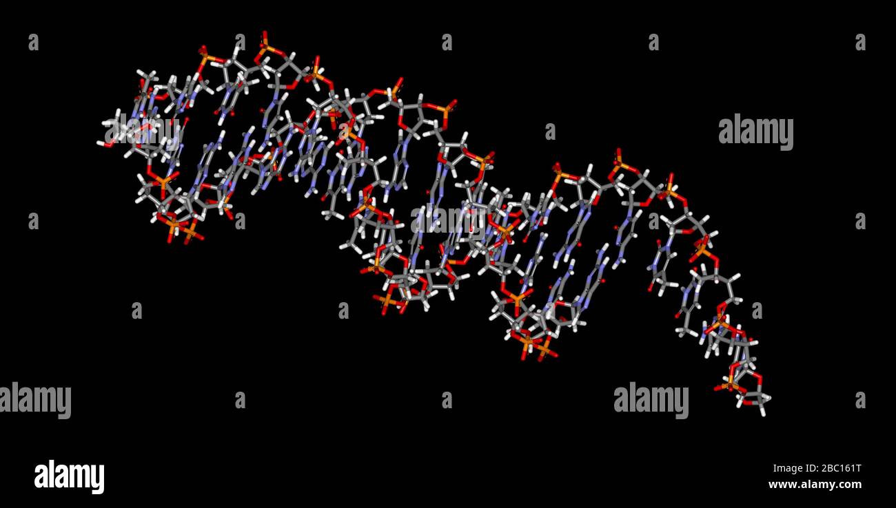 Molekulares Modell des genetischen Materials mit Atomen Stockfoto