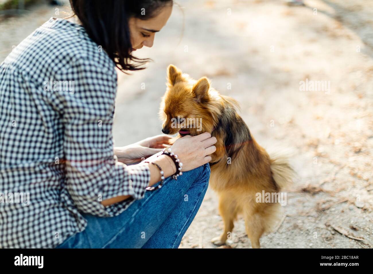 Junge Frau spielt mit Hund im Freien Stockfoto