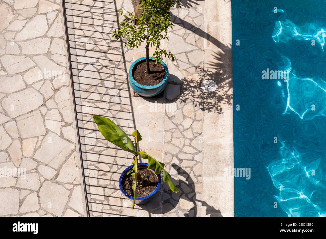 Frankreich, Alpes-Maritimes, Cagnes-sur-Mer, Topfpflanzen am Rande des Freischwimmbades Stockfoto