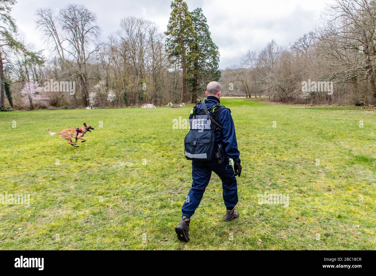 HUNDEFÜHRER DER FEUERWEHR UND SEIN HUND, MALINOIS ODER BELGISCHER HIRTE, AUF DER SUCHE NACH VERLORENEN PERSONEN, SDIS 77, SEINE ET MARNE, ILE DE FRANCE Stockfoto