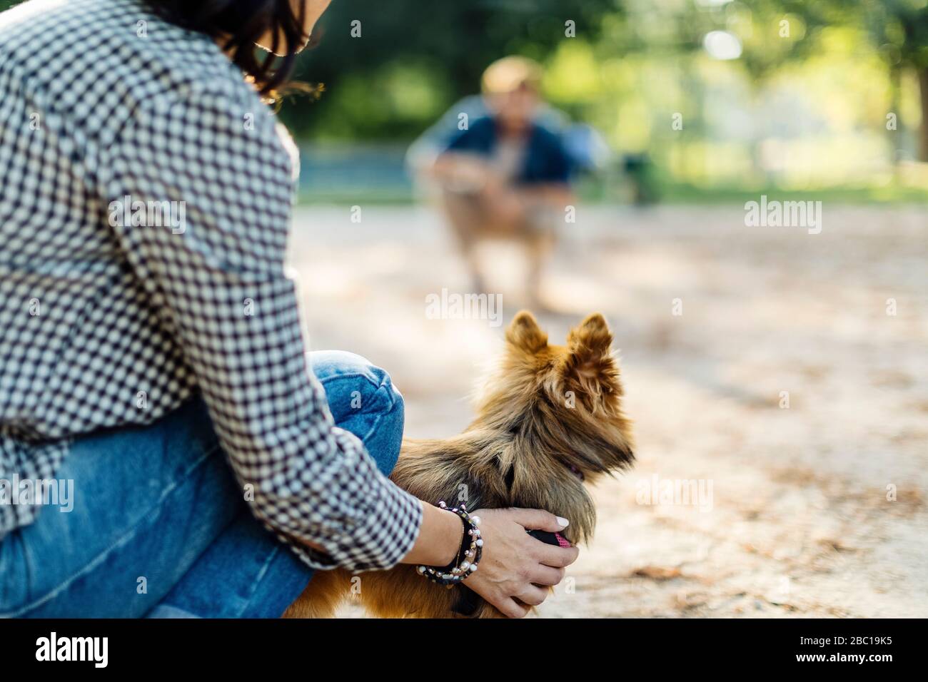 Junge Frau mit Hund in einem Park gegenüber einem Mann Stockfoto