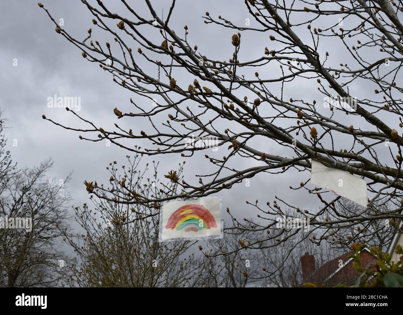 Ein Covid-19-Regenbogen in einem Baum in Milton Keynes. Stockfoto