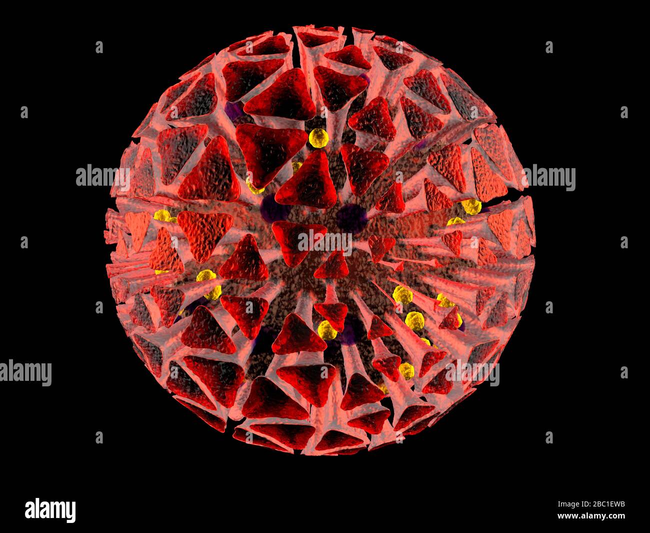 3D-Darstellung Darstellung einer anatomisch korrekten Interpretation des COVID19-Virus, auch bekannt als Corona-Virus, isoliert auf Schwarz Stockfoto