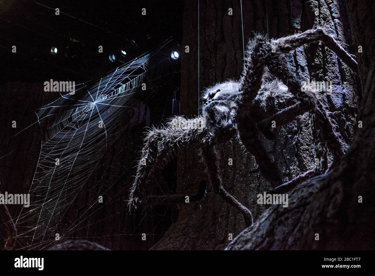 Aragog riesenspinne harry potter Fotos und Bildmaterial in hoher Auflösung Alamy