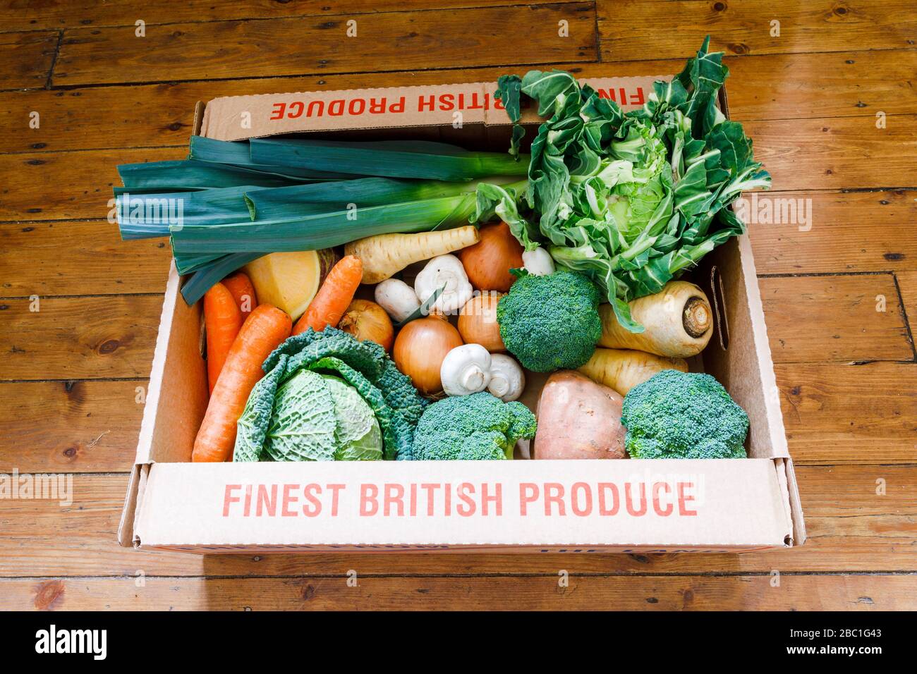 Schachtel frisches Gemüse der Saison Stockfoto