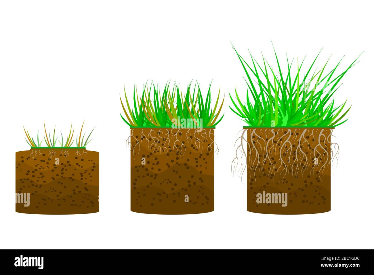 Stellen Sie Gras mit abgeschirgtem Boden auf weißem Hintergrund auf. Bodenschicht mit Gras, Wurzeln und Erde. Querschnitt der geschliffenen Schicht. Stück Land mit Gras.Vektor Stock Vektor