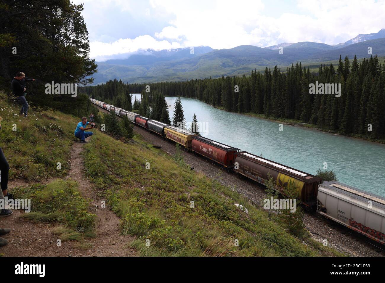 Güterzug, der durch das Bow River Valley in der Nähe von Morant's Curve führt Stockfoto