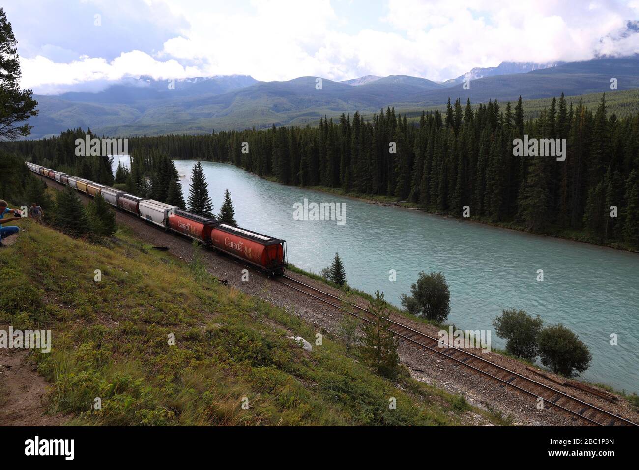 Güterzug, der durch das Bow River Valley in der Nähe von Morant's Curve führt Stockfoto