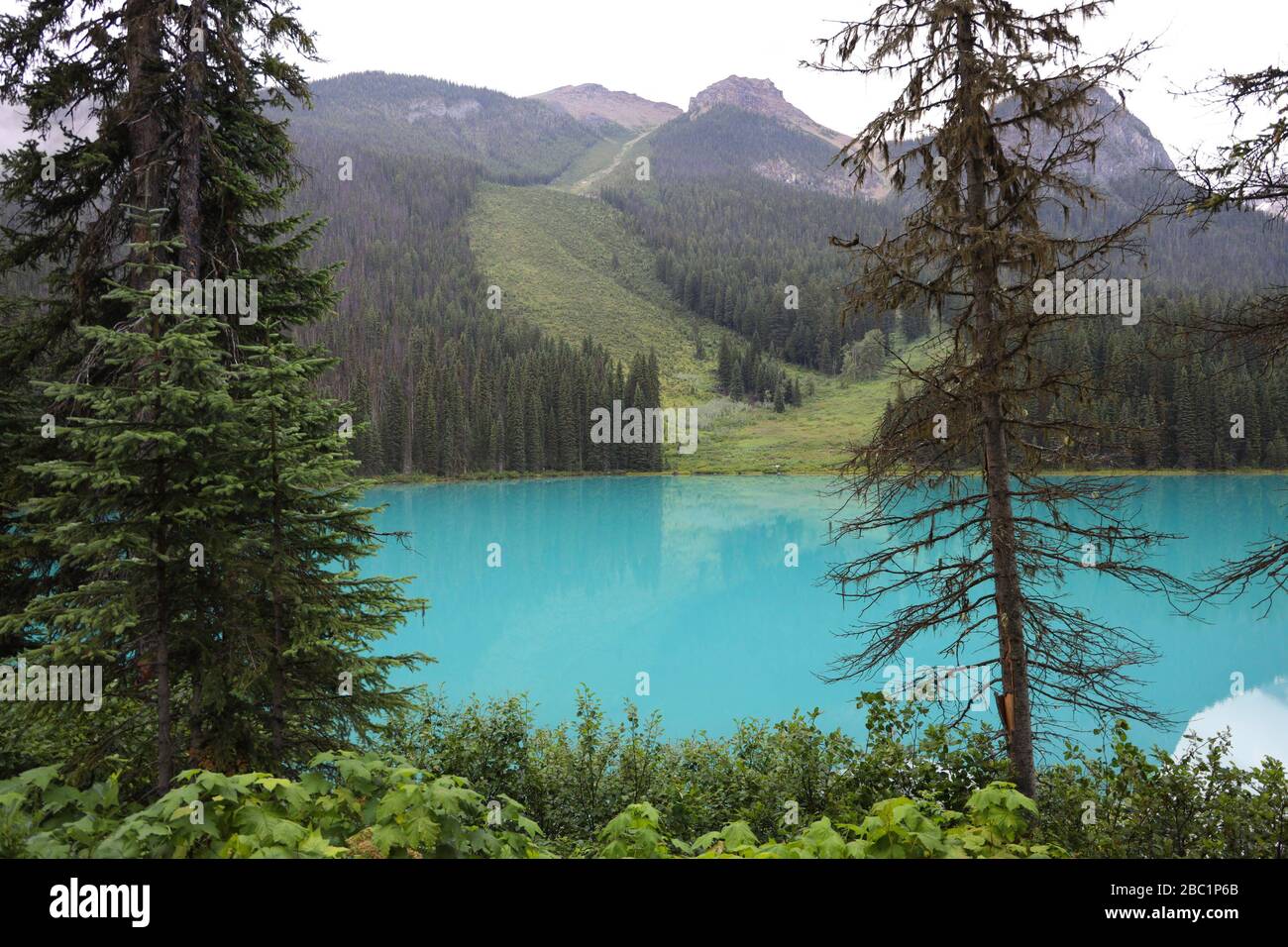 Emerald Lake in den Bergen des Yoho-Nationalparks, Kanada Stockfoto
