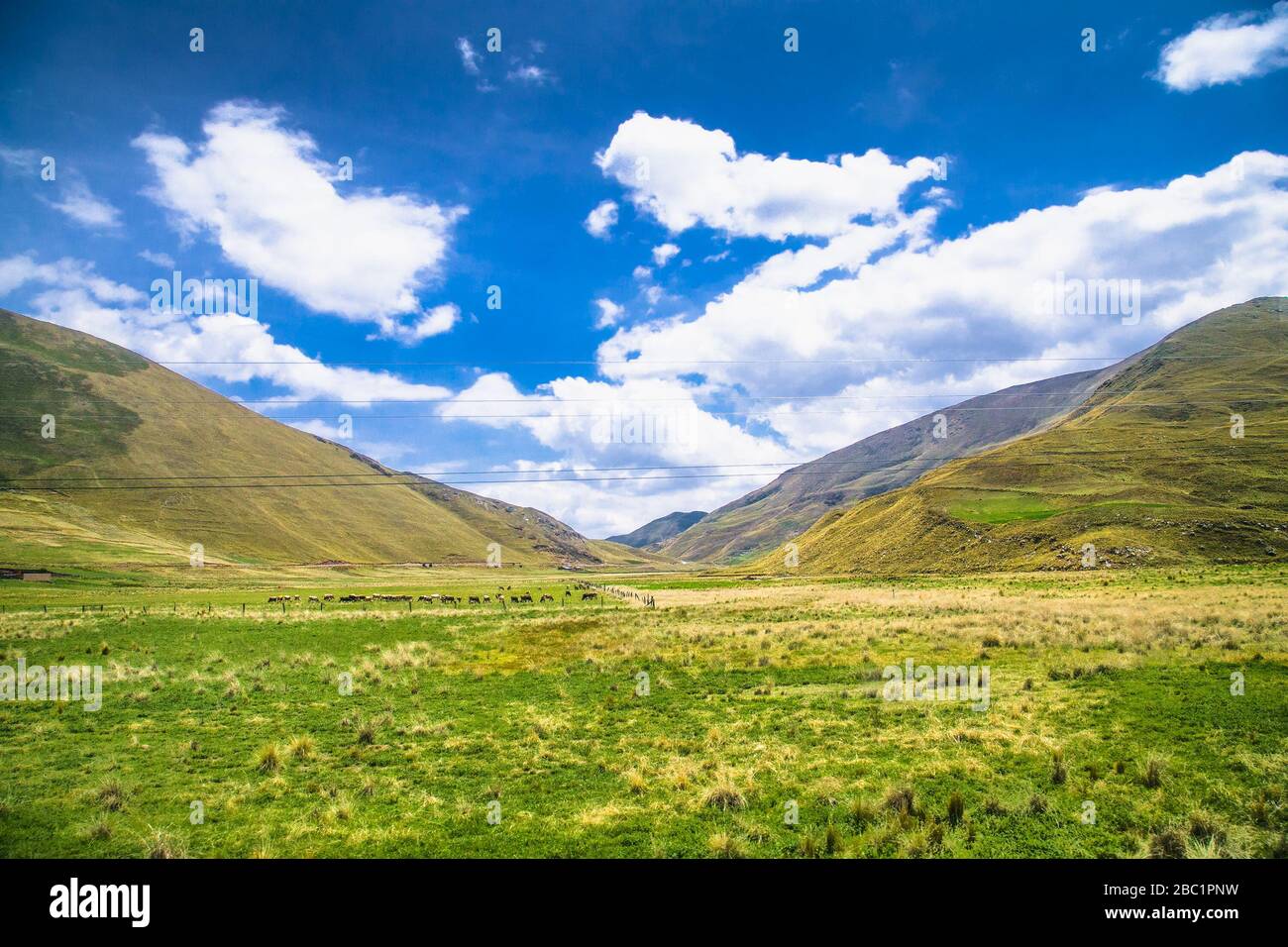 Schöne Landschaften auf dem Weg von Puno und Cosco, Peru. Südamerika. Stockfoto