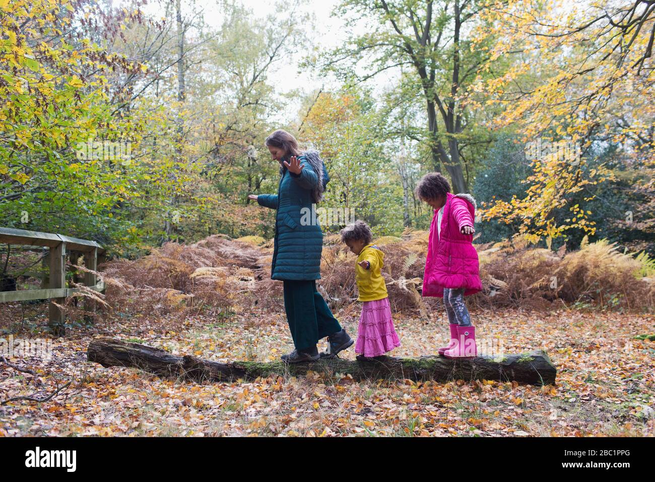 Mutter und Töchter balancieren auf gefallenen Holzbeinen im Herbstwald Stockfoto