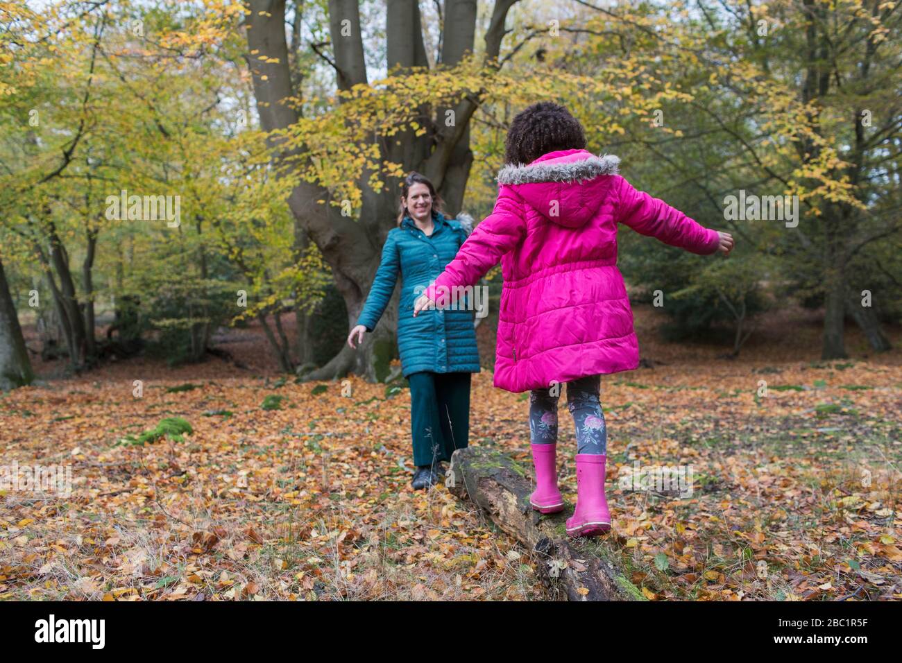 Mutter und Tochter balancieren auf gefallenen Holzbeinen im Herbstwald Stockfoto