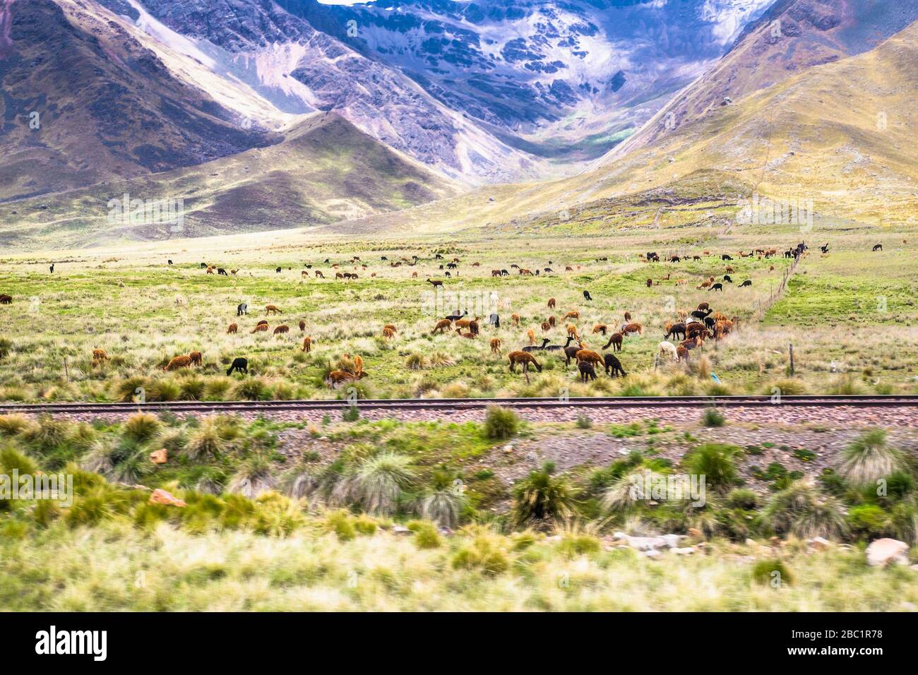 Schöne Landschaften auf dem Weg von Puno und Cosco, Peru. Südamerika. Stockfoto
