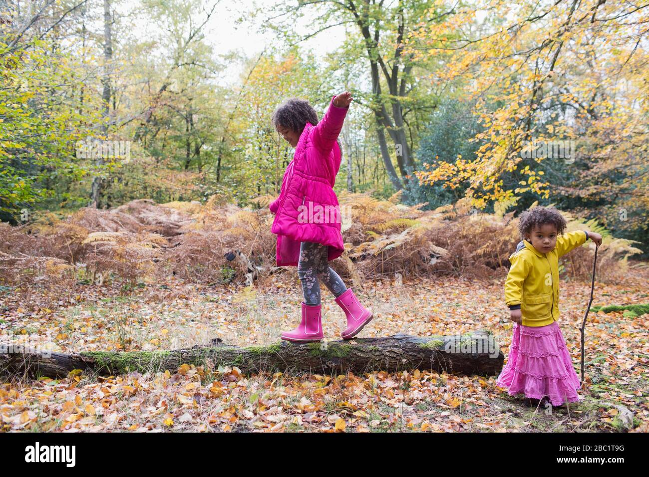 Mädchen, die auf dem umgestürzten Holzeinbauch in den Herbstwäldern spazieren Stockfoto