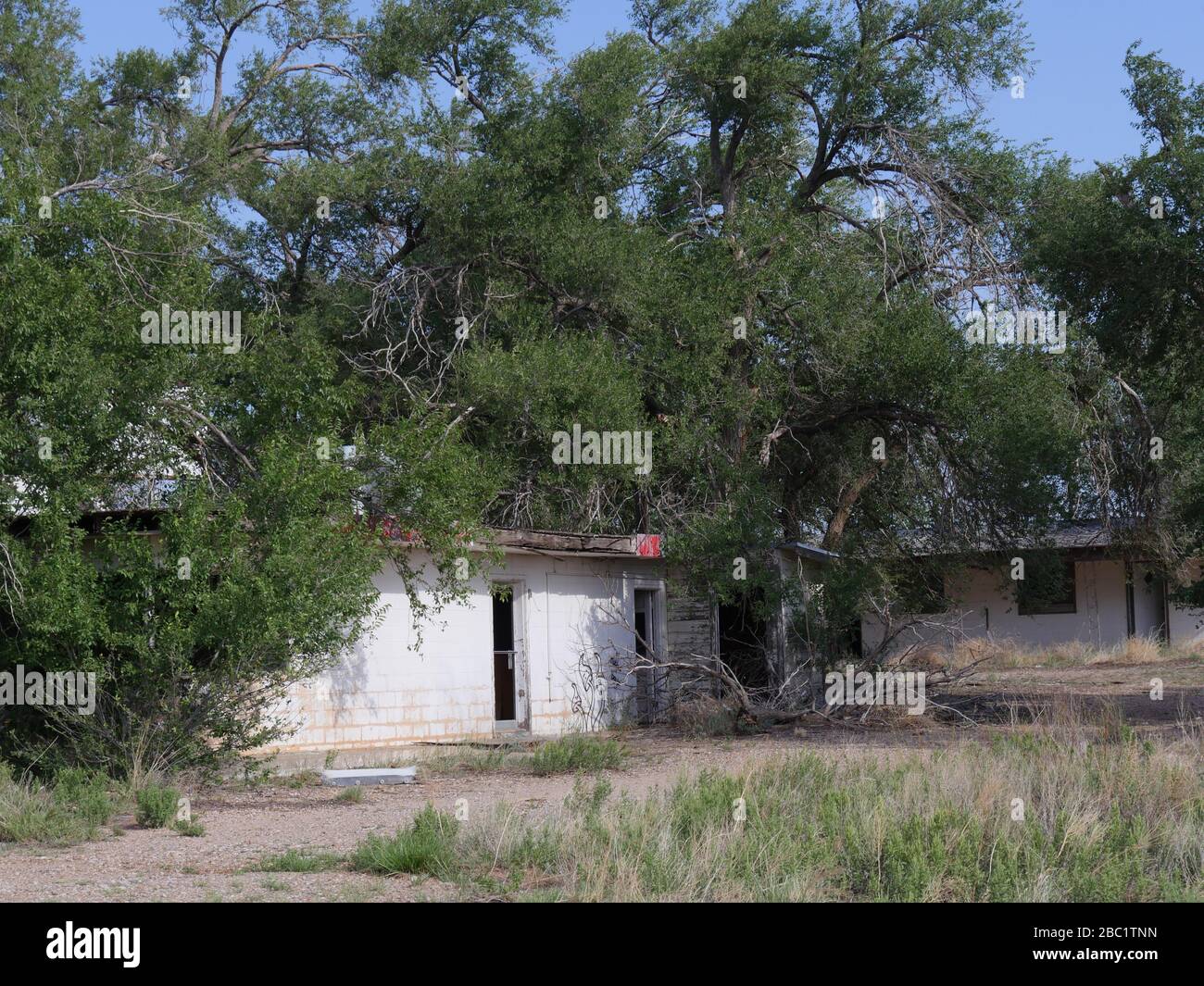 Verfallene, von Bäumen bedeckte Gebäude in der Geisterstadt Glenrio, einer der Geisterstädte Amerikas an der Route 66 an der Grenze von New Mexico und Texas. Stockfoto