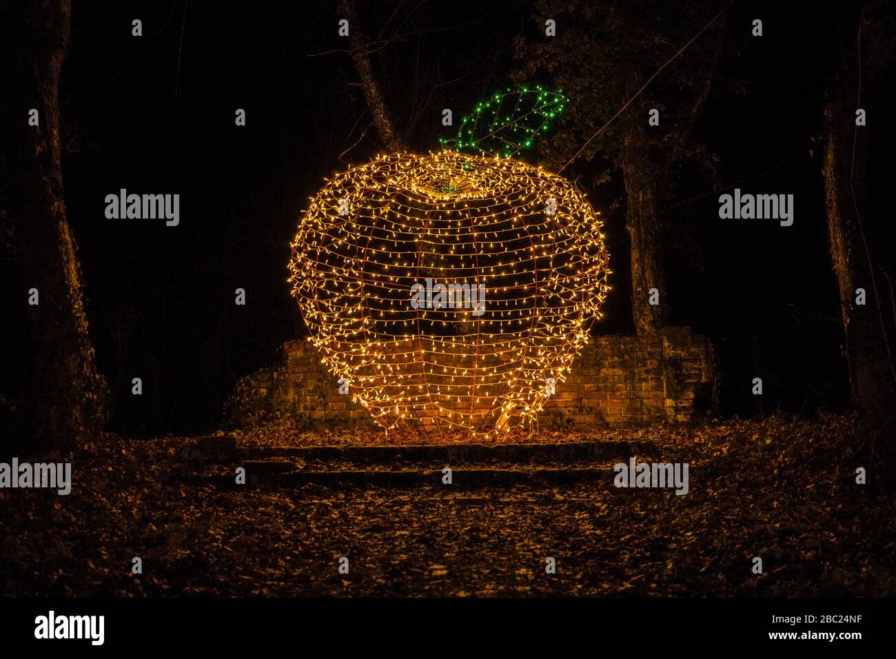 Weihnachtsbeleuchtung im Park in Form eines apfels Stockfoto