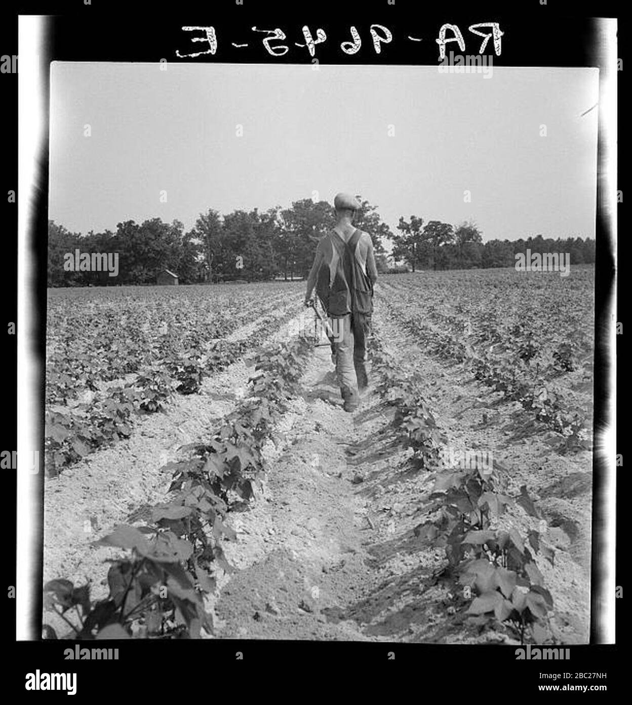 Ära der Weltwirtschaftskrise White Tenant Farmer in North Carolina 1936. Stockfoto