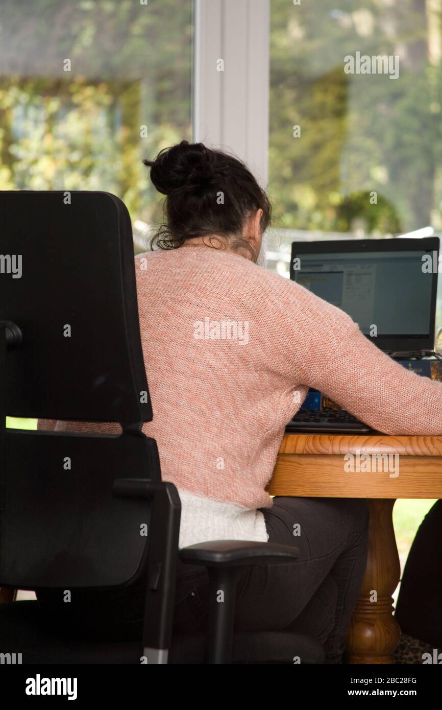 Büroangestellte sitzen am Tisch und arbeiten von zu Hause aus Stockfoto
