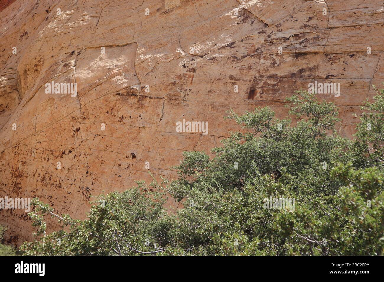 Ein Bild der Felsen im Red Rock Canyon Stockfoto