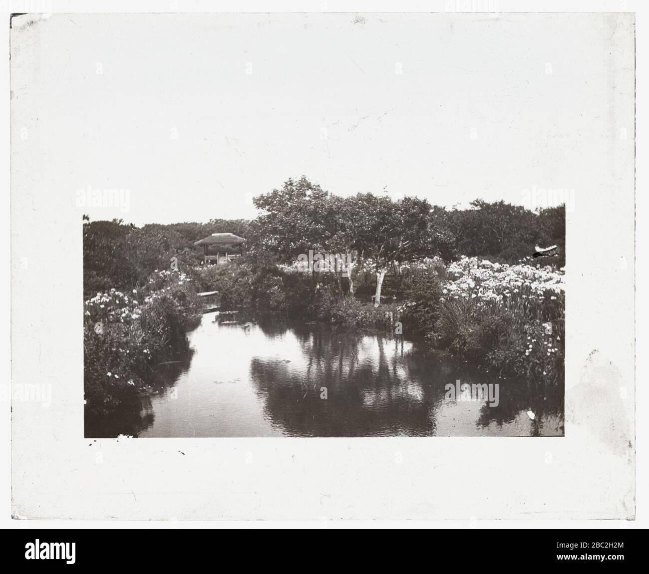 Grey-Croft", Stephen Swete Cummins House, Huntting Lane, East Hampton, New York. Japanischer Irisgarten Stockfoto