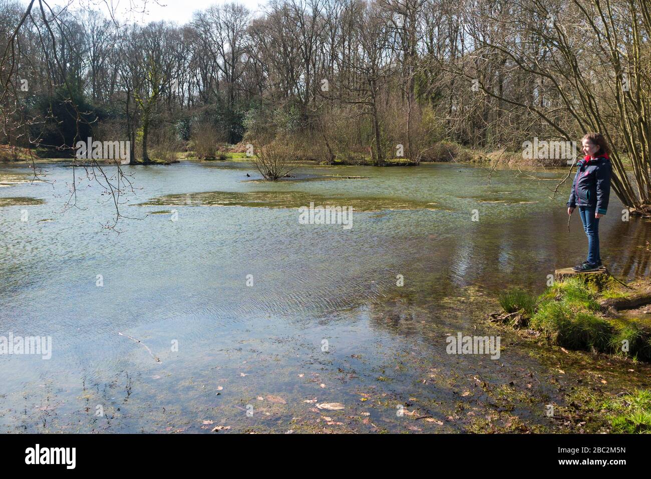 West End Surrey Stockfotos und bilder Kaufen Alamy