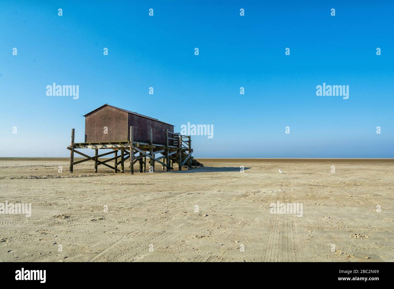 ebbe flut sankt peter ording