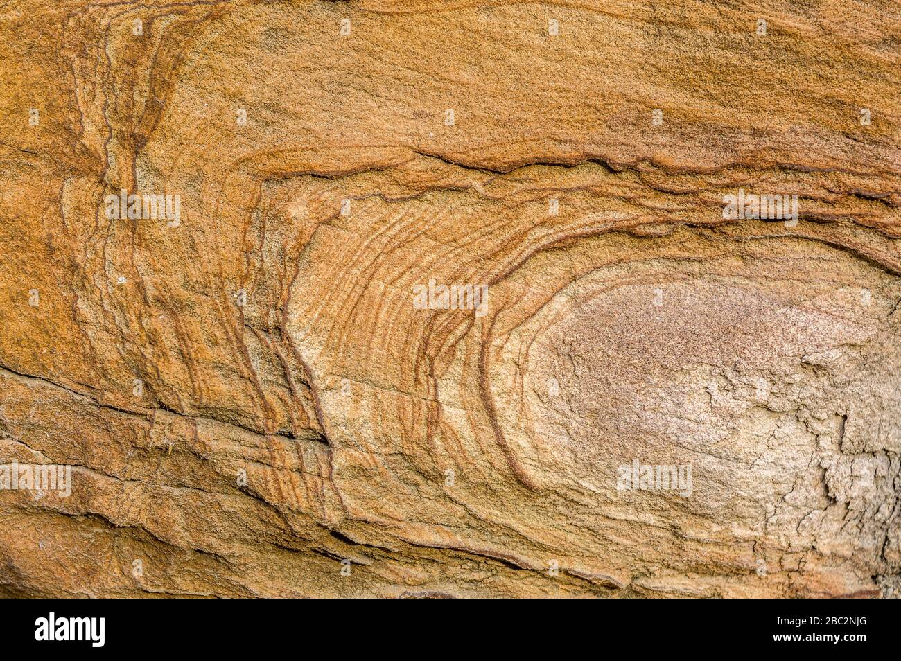 Sandsteinwand, Sandstein mit künstlerischen Mustern, die reliefartige Formen an der Oberfläche schraffieren, Detailaufnahme Stockfoto