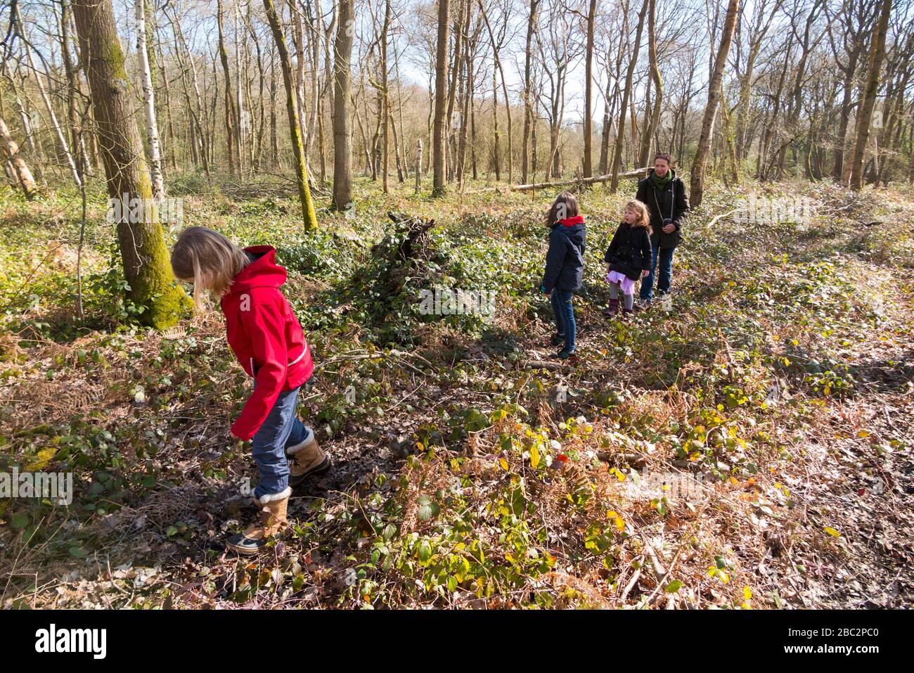 Tochter führende Mutter von 3 Kindern drei Kinder Töchter zu Fuß / zu Fuß entlang grünen und schlammigen Weg / im Schlamm auf Waldweg Gehweg Fußweg Gehweg. West End Common, nahe Esher in Surrey, Großbritannien. (116) Stockfoto