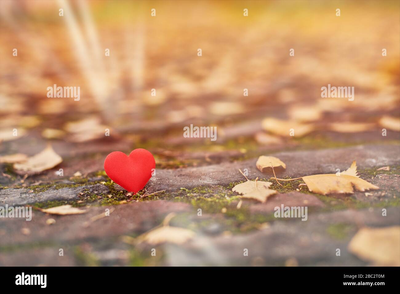 Einseitige Liebe Stockfotos Und Bilder Kaufen Alamy