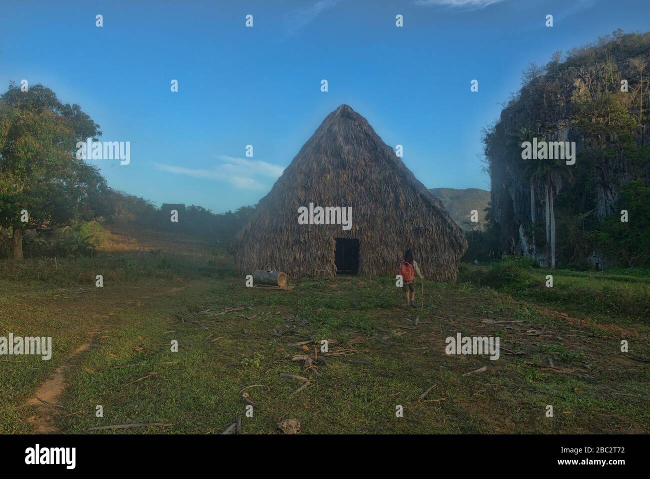 Tabaktrocknungsscheune, Viñales, Kuba Stockfoto