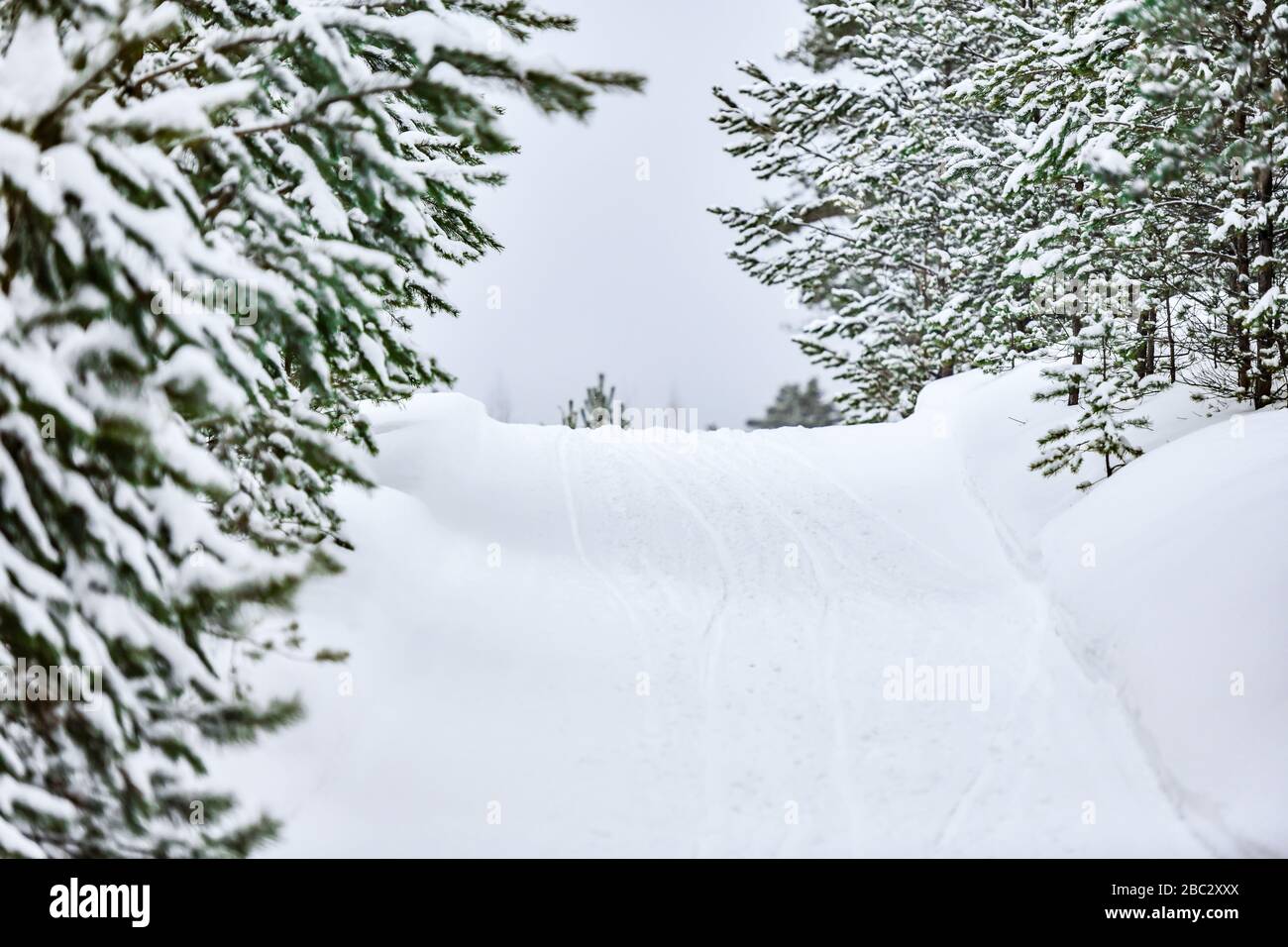 Winter-Skitourenweg im Schneewald. Schneebedeckte Piste zum Skifahren, Snowboarden oder Tubing. Stockfoto