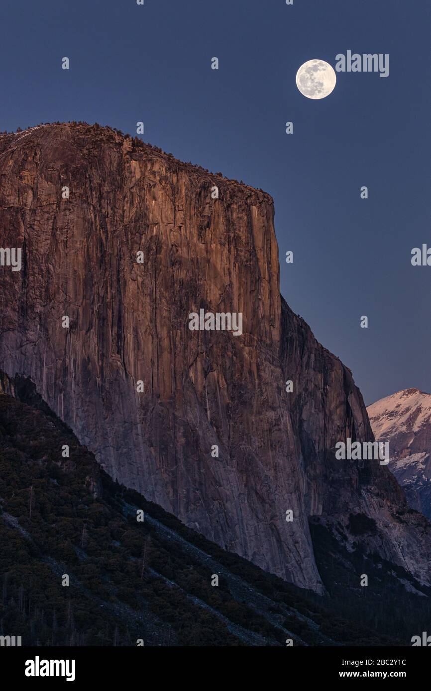 Supermoon steigt über dem Gipfel des El Capitan im Yosemite Nationalpark Stockfoto