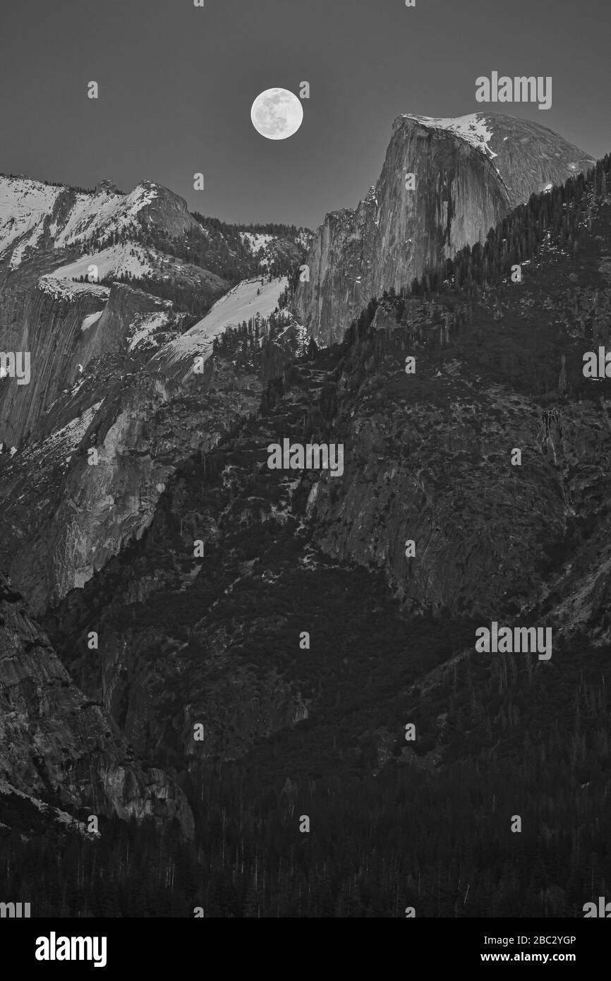 Ein Schwarz-Weiß-Bild des Supermonds, der über dem Half Dome im Yosemite Nationalpark, USA, aufsteigt Stockfoto