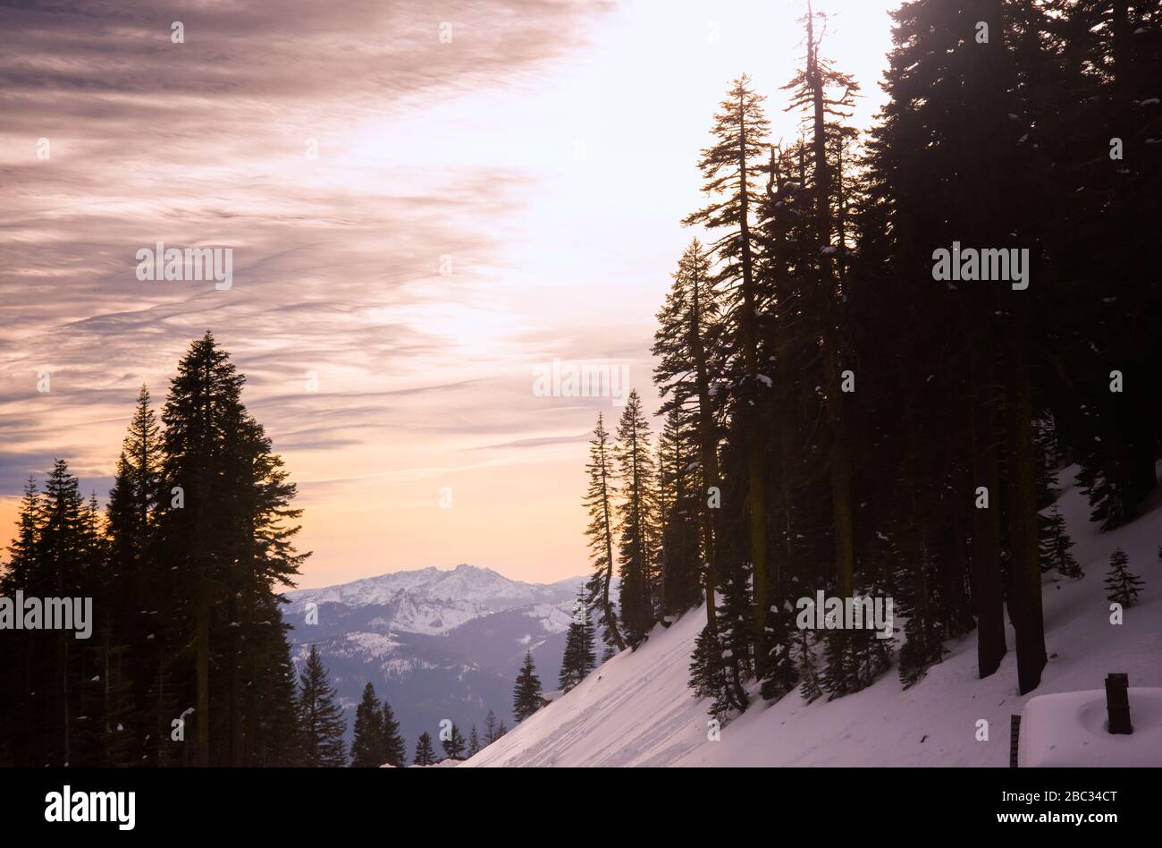 Blick vom Mt. Shasta California Stockfoto