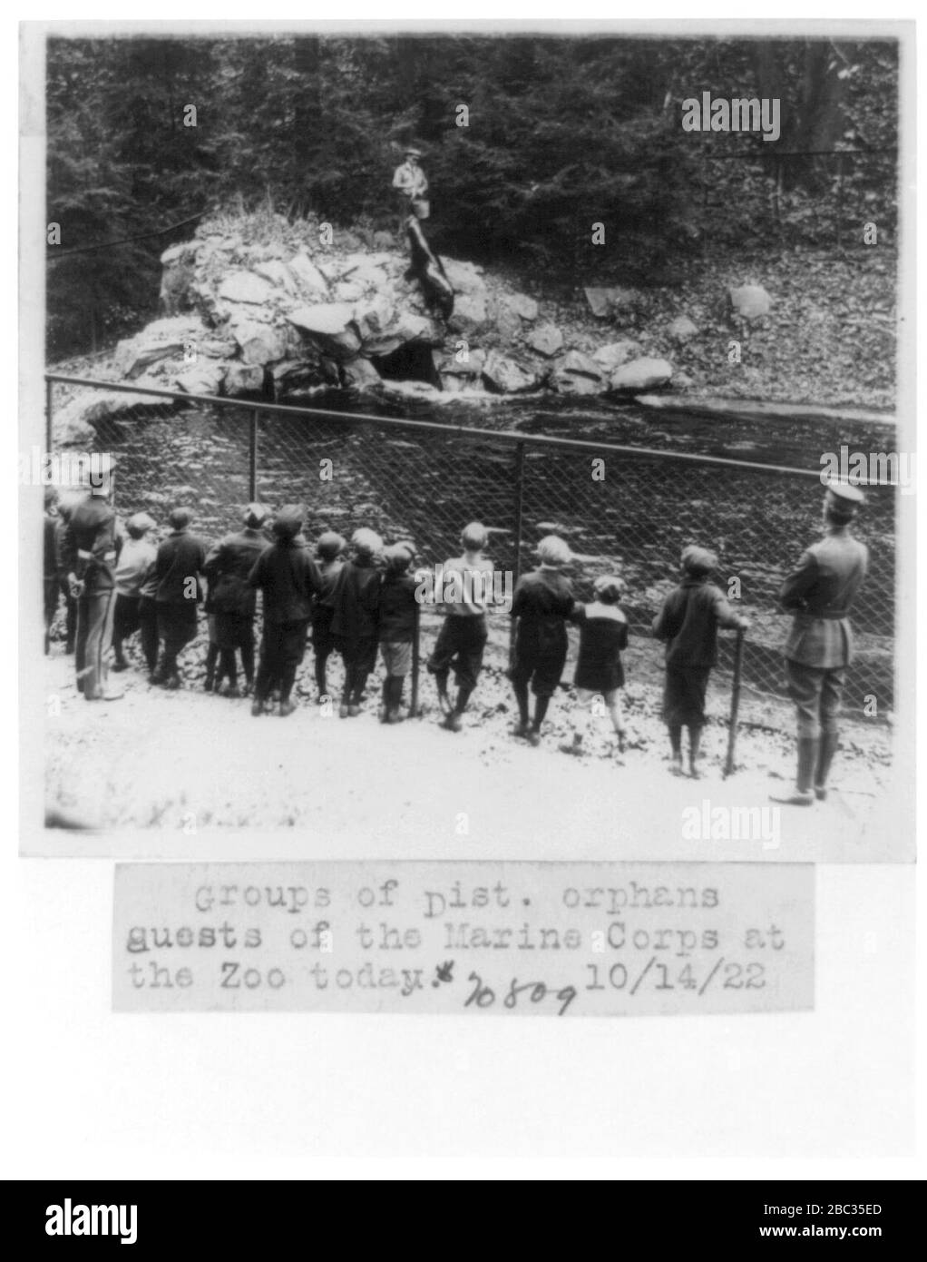 Gruppen von Distriktwaisen, Gäste des Marine Corps, die im National Zoo in Washington, D.C. Robben füttern Stockfoto