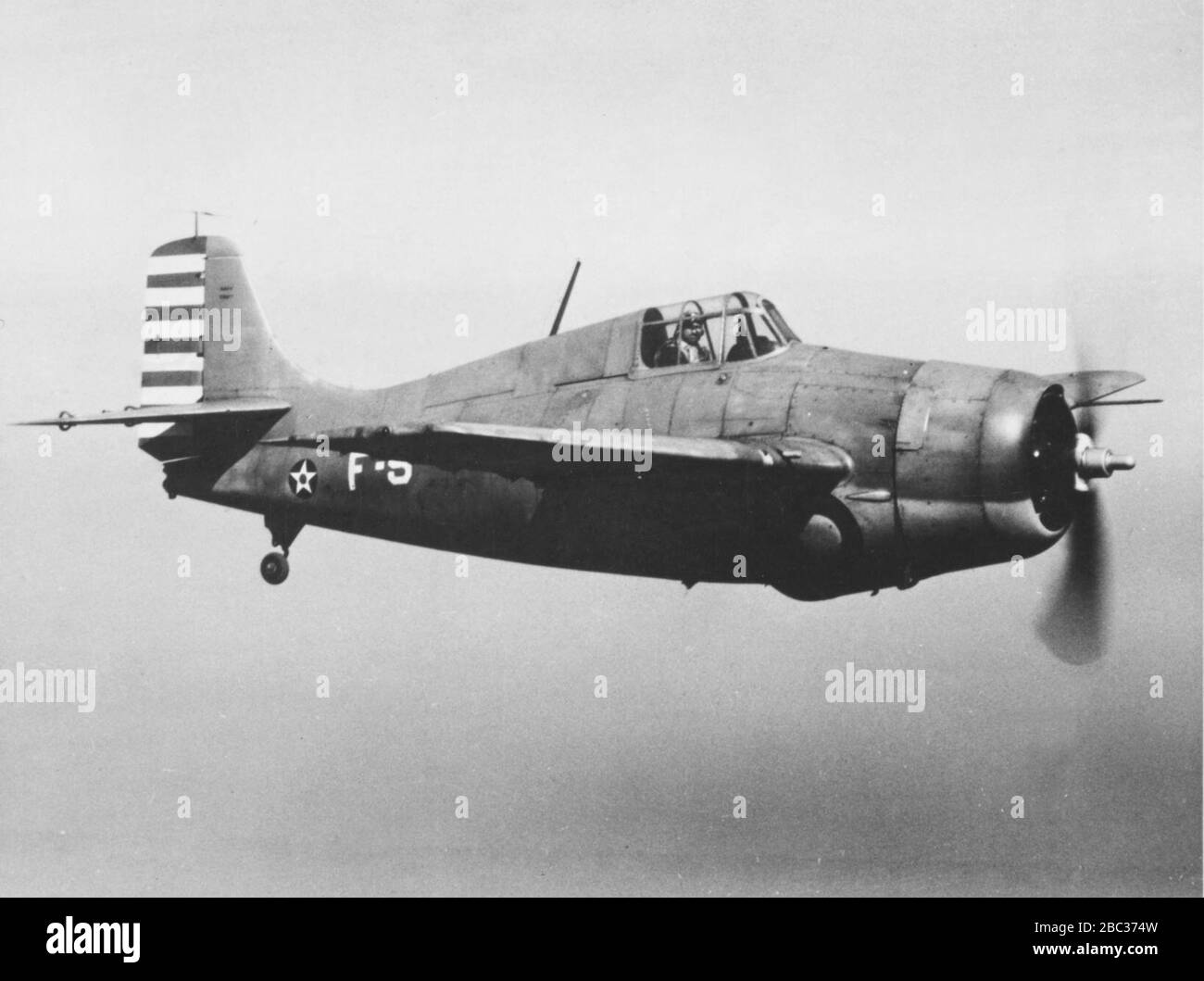 Grumman F4F Wildcat im Flug, Februar 1942. Stockfoto