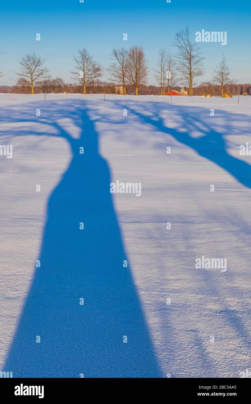 Lange Schatten am Ende des Tages, die ein Amische Bauernfeld im Zentrum von Michigan, USA überschreiten [keine Eigentumsfreigabe; nur für redaktionelle Lizenzierung verfügbar] Stockfoto