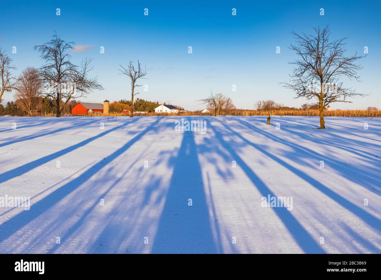 Lange Schatten am Ende des Tages, die ein Amische Bauernfeld im Zentrum von Michigan, USA überschreiten [keine Eigentumsfreigabe; nur für redaktionelle Lizenzierung verfügbar] Stockfoto