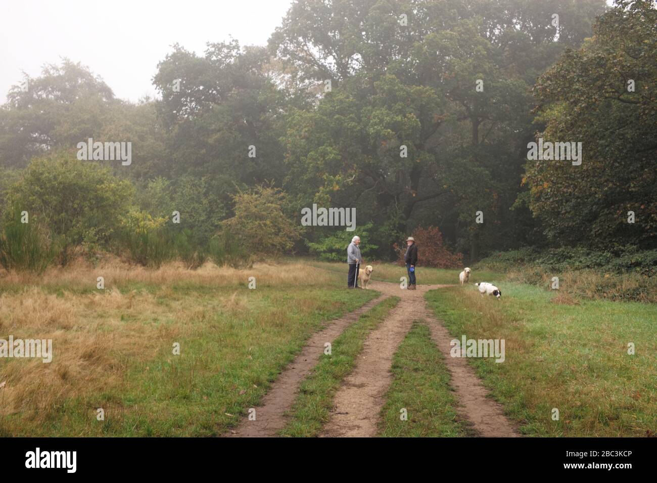 Hundebesitzer im Gespräch, Epping Forest Stockfoto