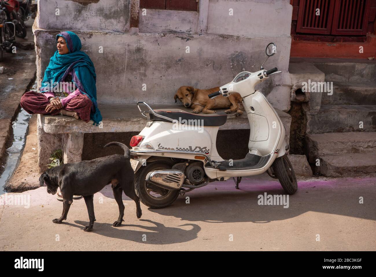 Straßenszene, Jaipur, Rajasthan, Indien Stockfoto