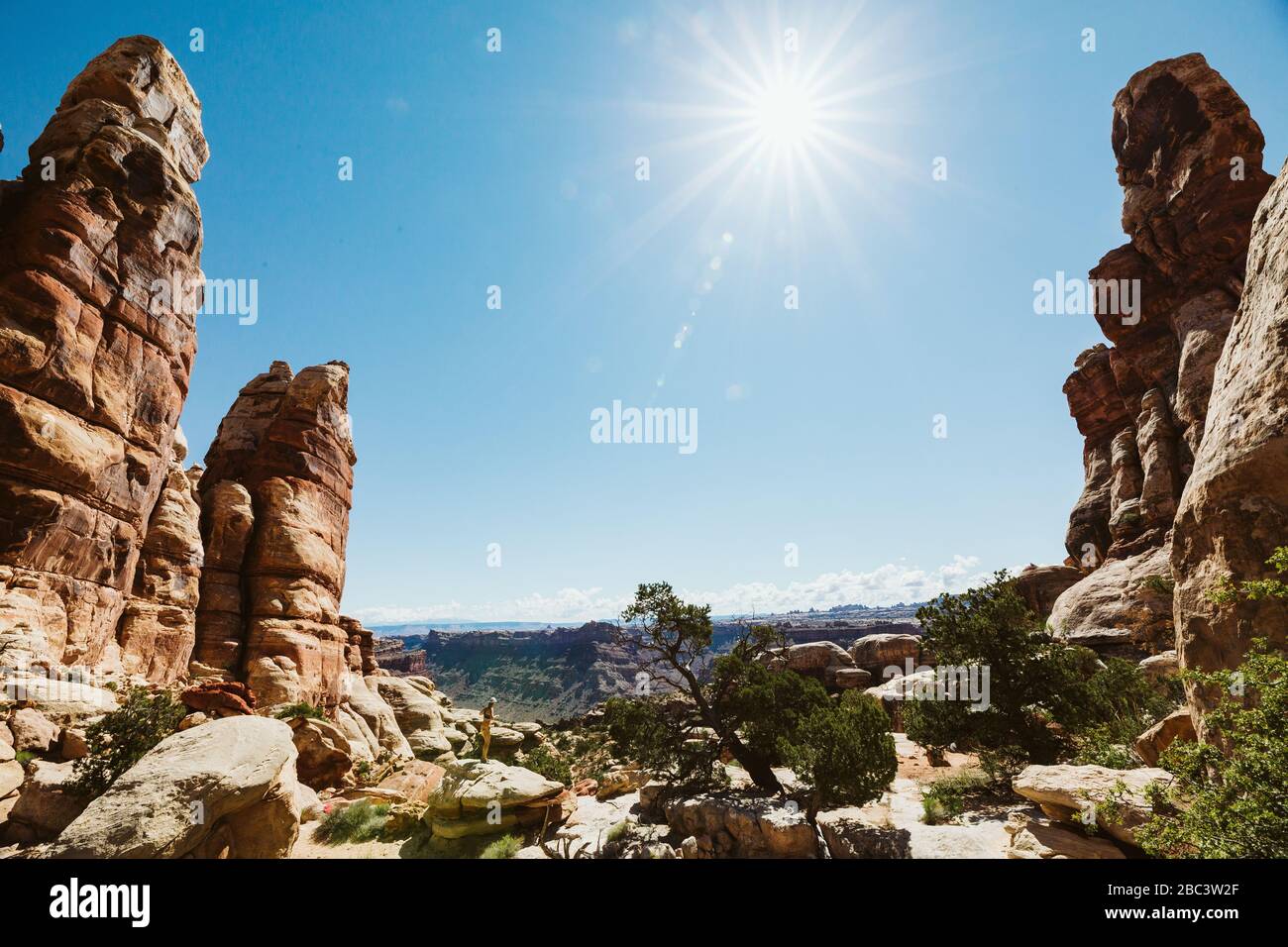 Fernwanderer steht auf Felsen zwischen Sandsteintürmen unter heller Sonne Stockfoto