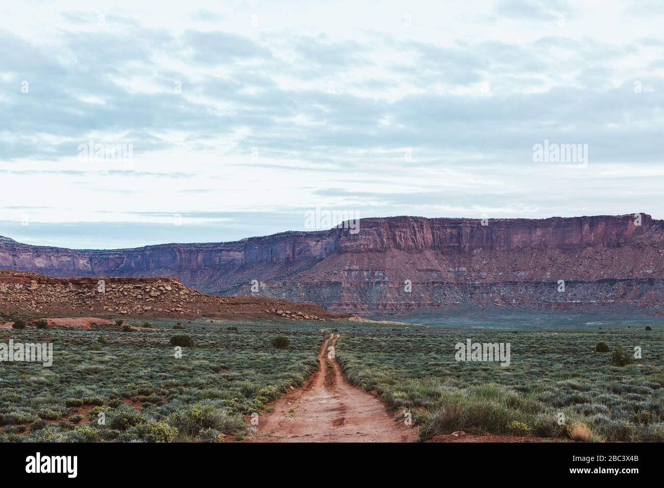 Geradeaus rote zwei Spur Feldweg führte zu nirgendwo in utah Wüste Stockfoto