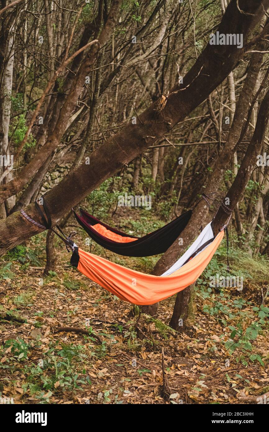 Zwei leere Hängematten hängen von Bäumen im Regenwald Stockfoto