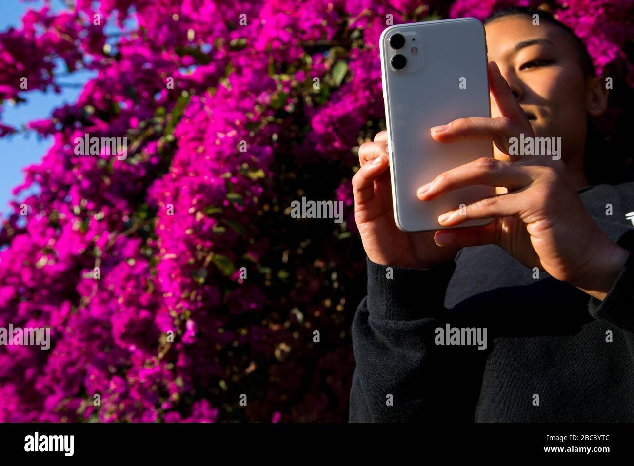 Frau mit Handy im Freien vor Blumen Blüten Stockfoto